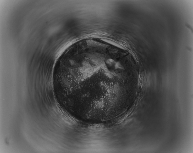 X0000100220196200806061353