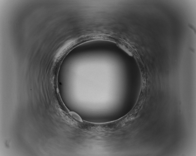 X0000100220197200806061353