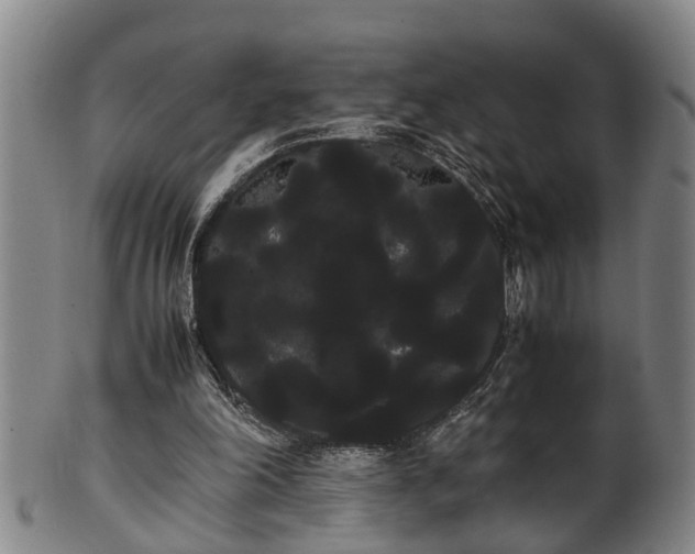 X0000100220198200806061353