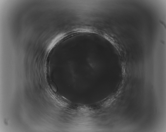 X0000100220199200806061353