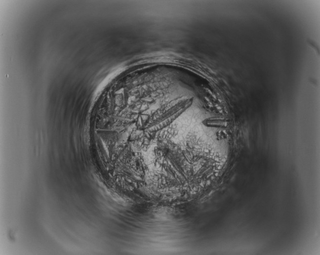 X0000100220200200806061353