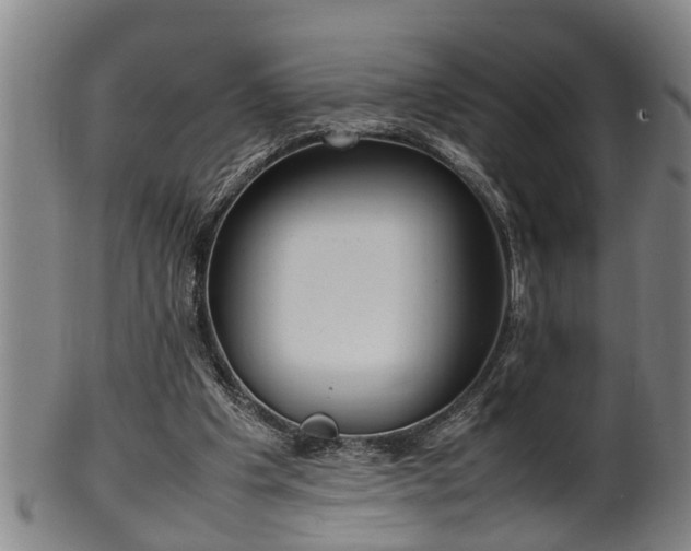 X0000100220201200806061353