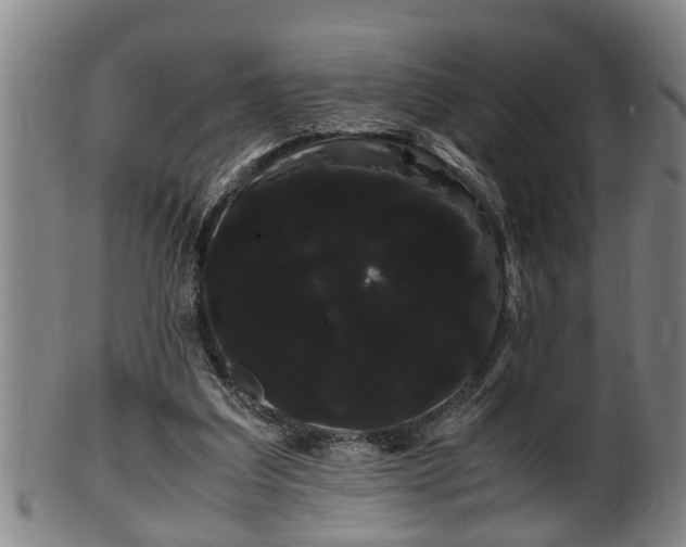 X0000100220203200806061353