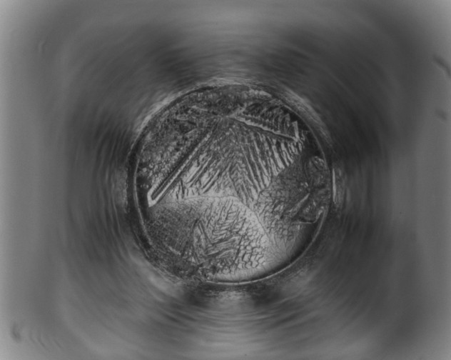 X0000100220204200806061353