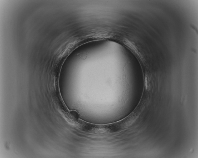 X0000100220205200806061353