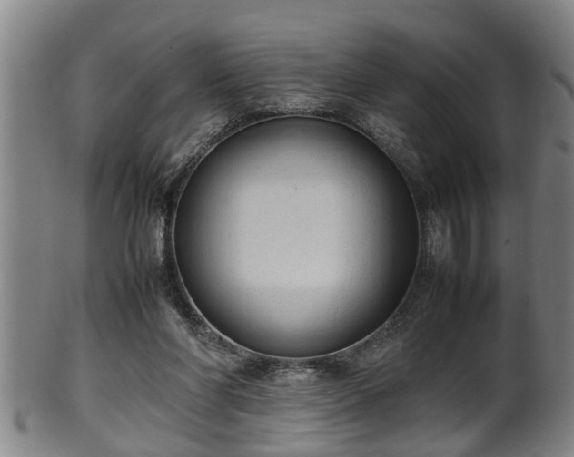 X0000100220206200806061353