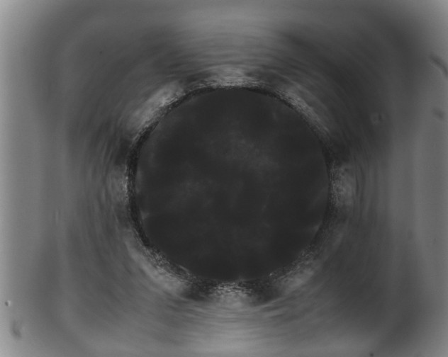 X0000100220207200806061353