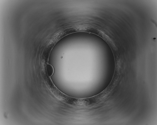 X0000100220209200806061352