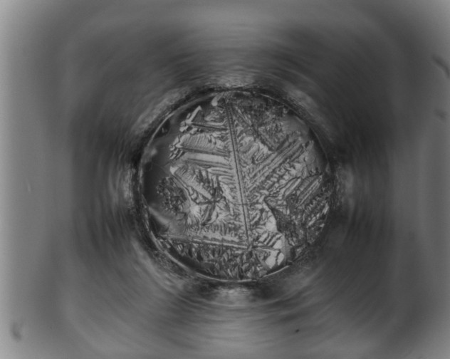 X0000100220212200806061352