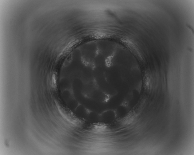 X0000100220214200806061352