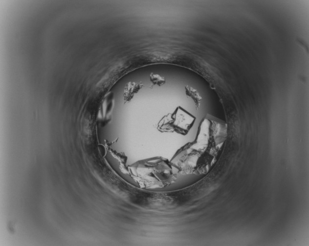 X0000100220215200806061352