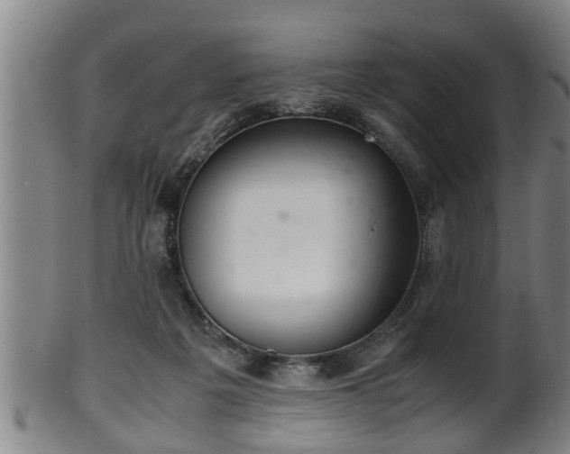 X0000100220217200806061352