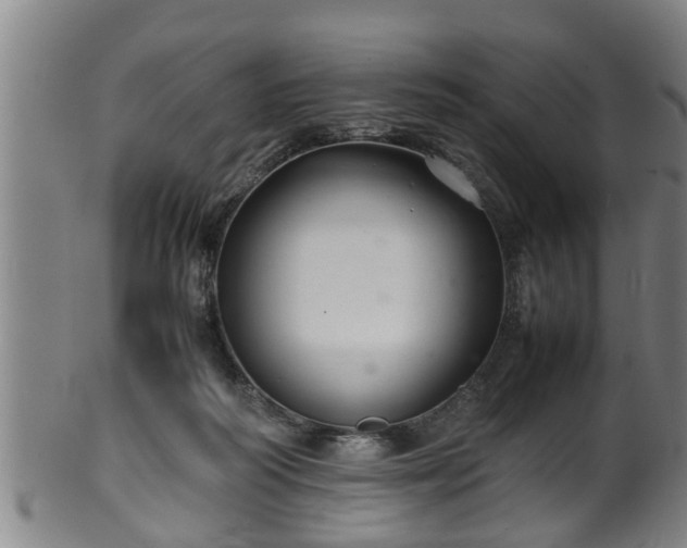 X0000100220218200806061352