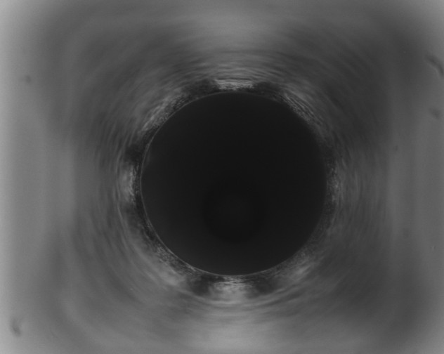 X0000100220219200806061352