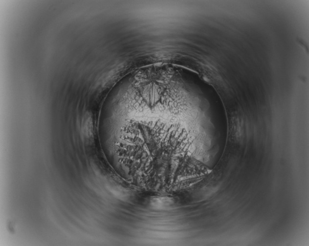X0000100220220200806061352