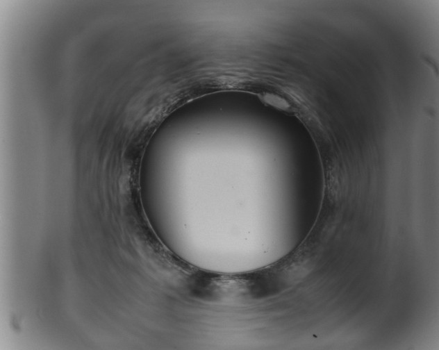 X0000100220221200806061352