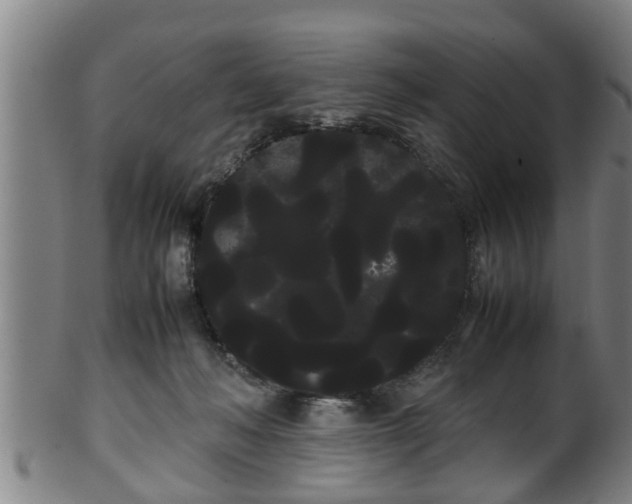 X0000100220222200806061352