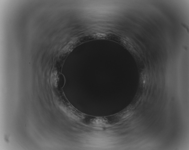 X0000100220223200806061352