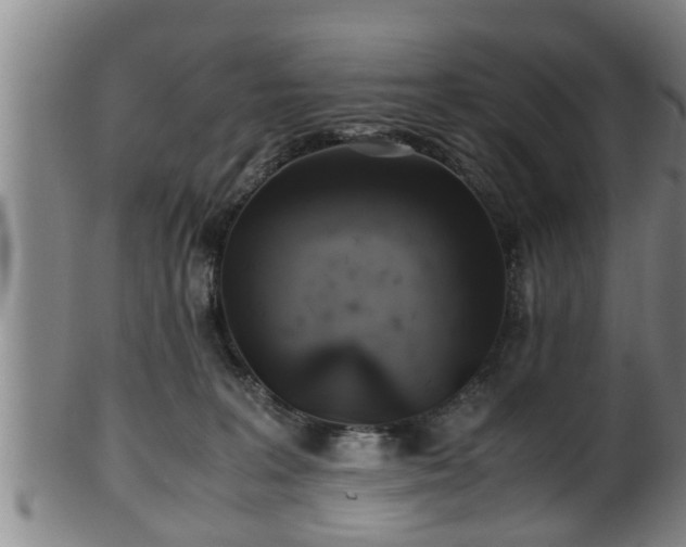 X0000100220227200806061352