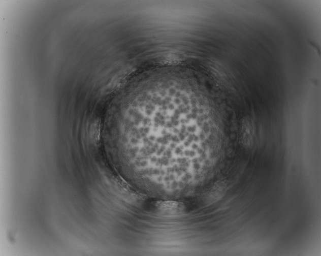 X0000100220230200806061352