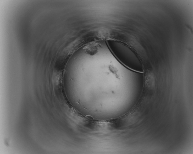 X0000100220233200806061352