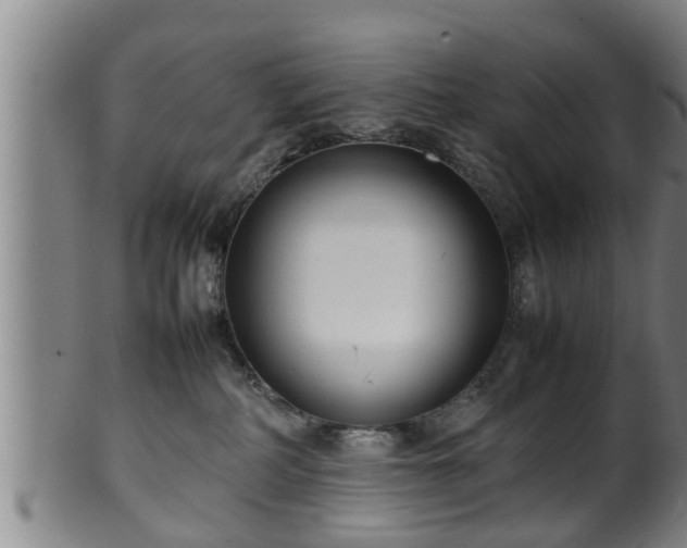 X0000100220234200806061352