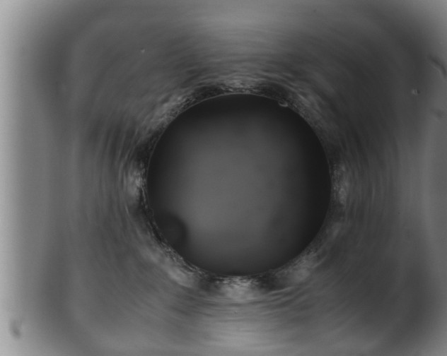 X0000100220235200806061352