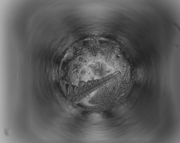 X0000100220236200806061352