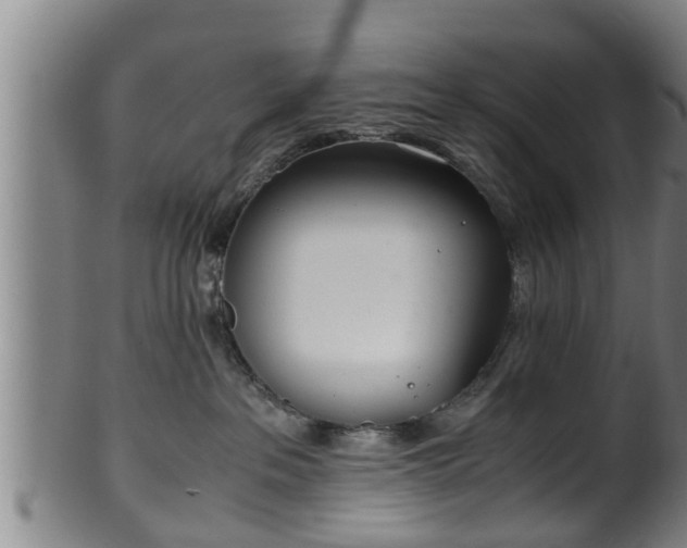 X0000100220237200806061352