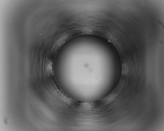 X0000100220238200806061352