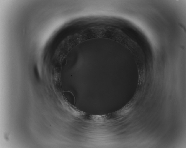 X0000100220239200806061352