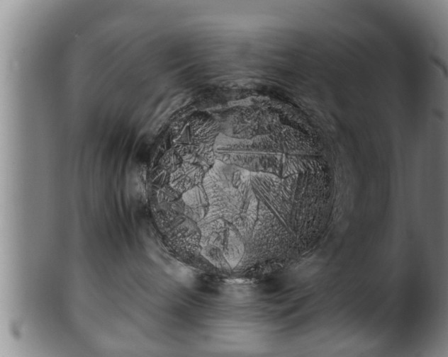 X0000100220240200806061352