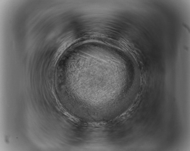 X0000100220241200806061351