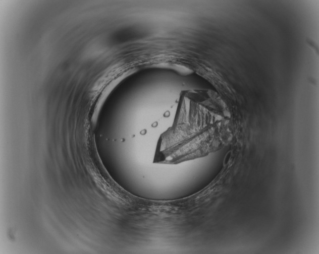 X0000100220242200806061351