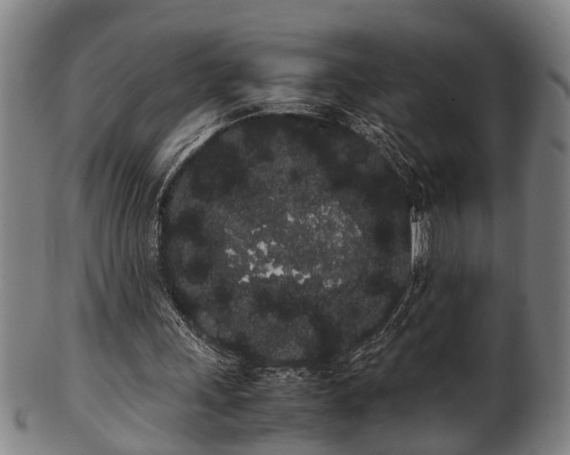 X0000100220243200806061351