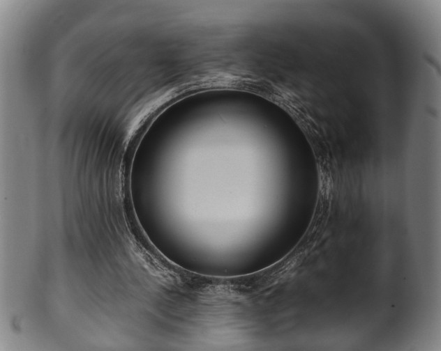 X0000100220244200806061351