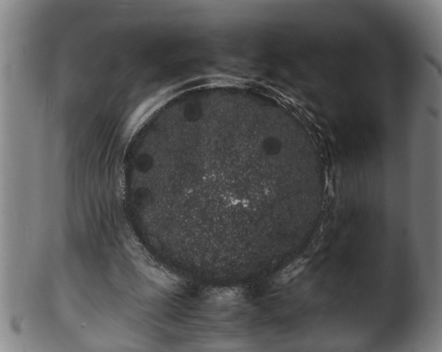 X0000100220247200806061351