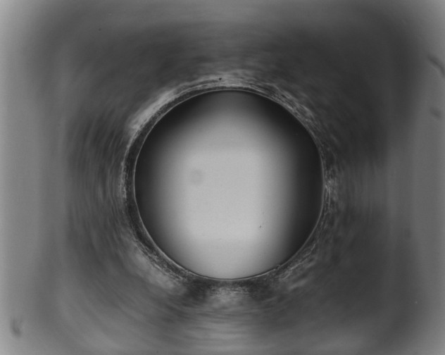 X0000100220248200806061351