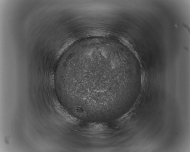 X0000100220249200806061351