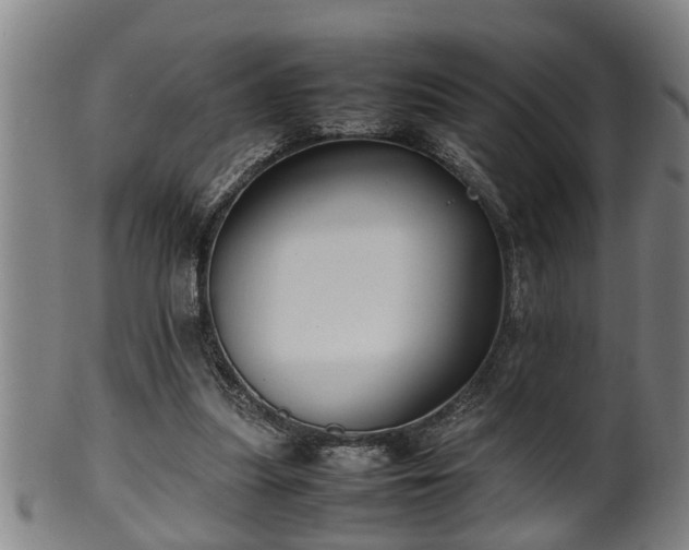 X0000100220251200806061351