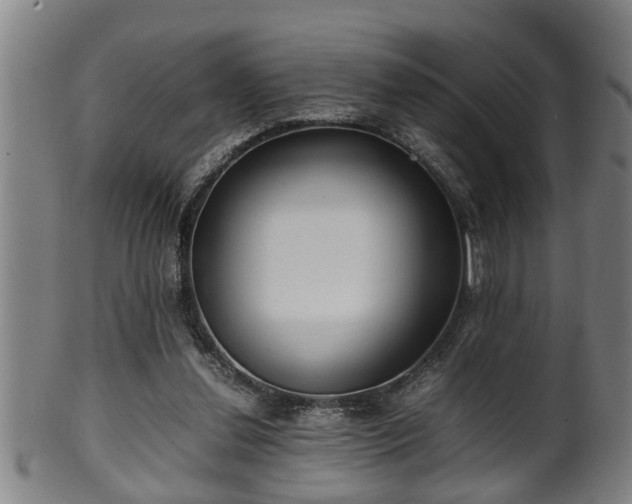 X0000100220252200806061351