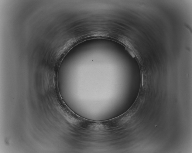 X0000100220253200806061351