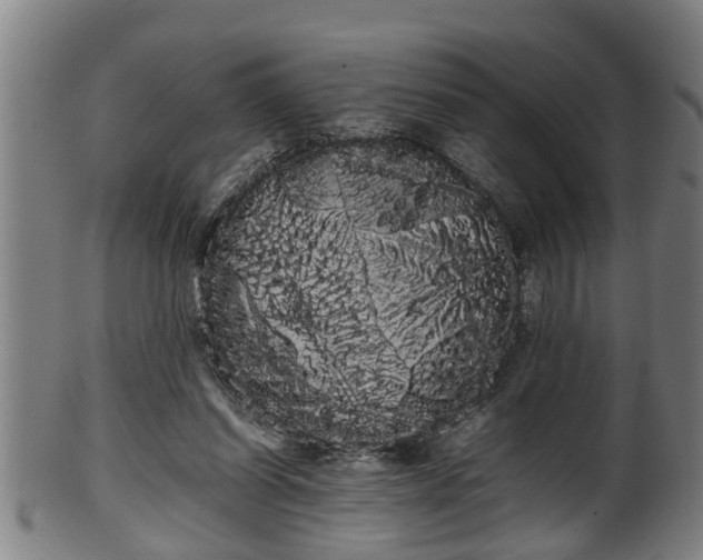 X0000100220254200806061351