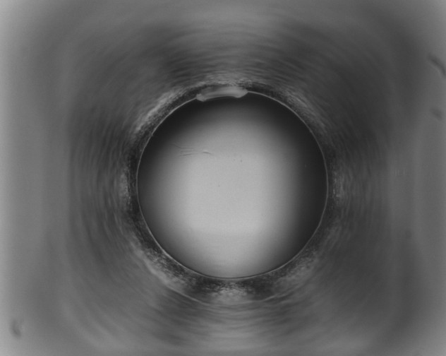 X0000100220256200806061351