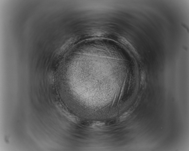 X0000100220257200806061352