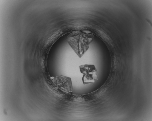 X0000100220258200806061352