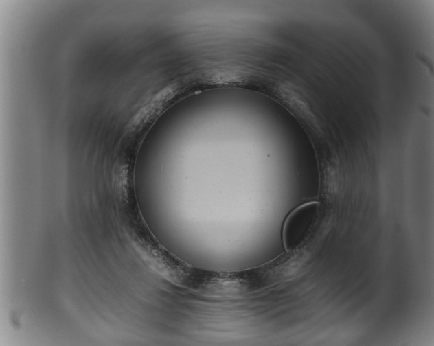 X0000100220260200806061352