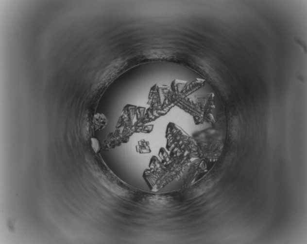 X0000100220261200806061352