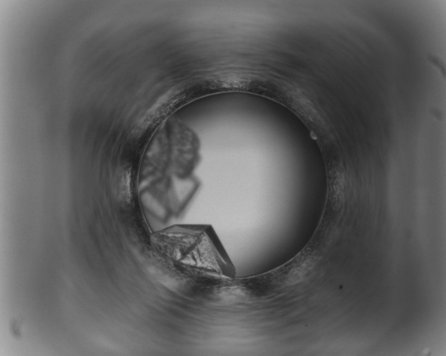 X0000100220262200806061352