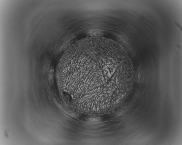 X0000100220263200806061352